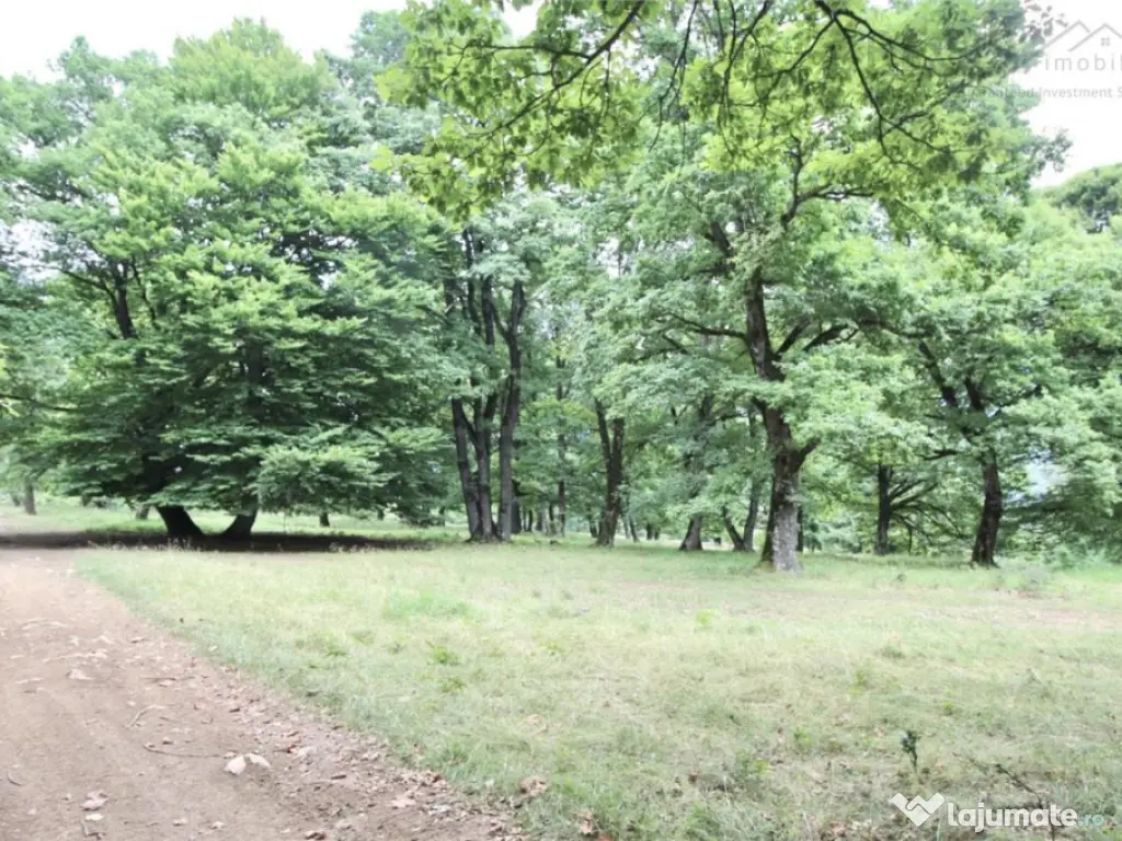 Teren de 4713 mp investitie | Poiana Brasov