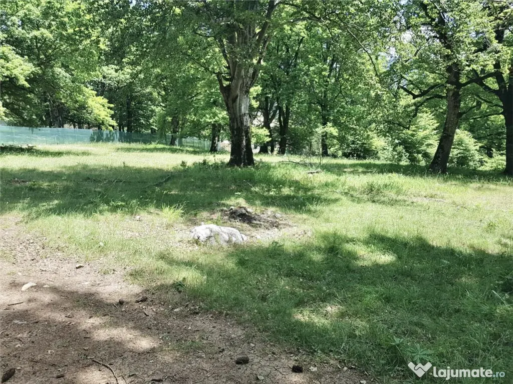 Teren de 4713 mp investitie | Poiana Brasov