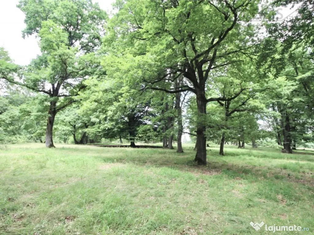 Teren de 4713 mp investitie | Poiana Brasov