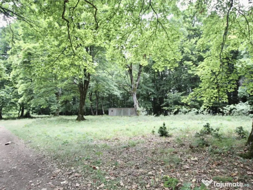 Teren de 4713 mp investitie | Poiana Brasov