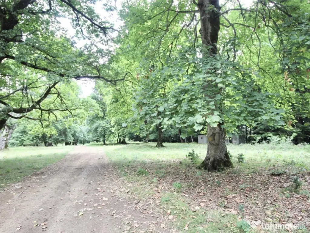 Teren de 4713 mp investitie | Poiana Brasov