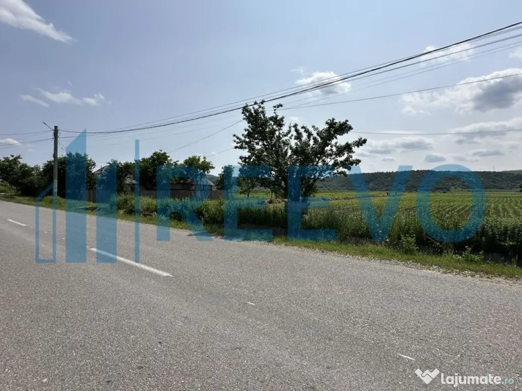 Teren intravilan de vânzare, Sat Prisaca, Com. Berești ...