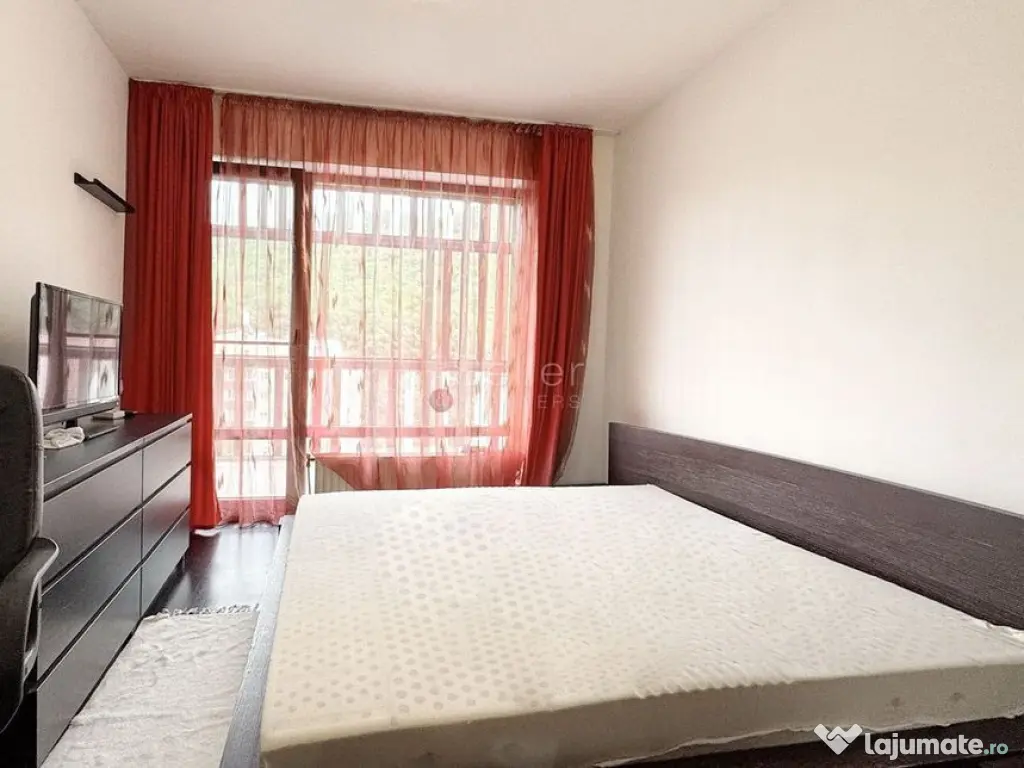 Pet Friendly complex Tampa Gardens 