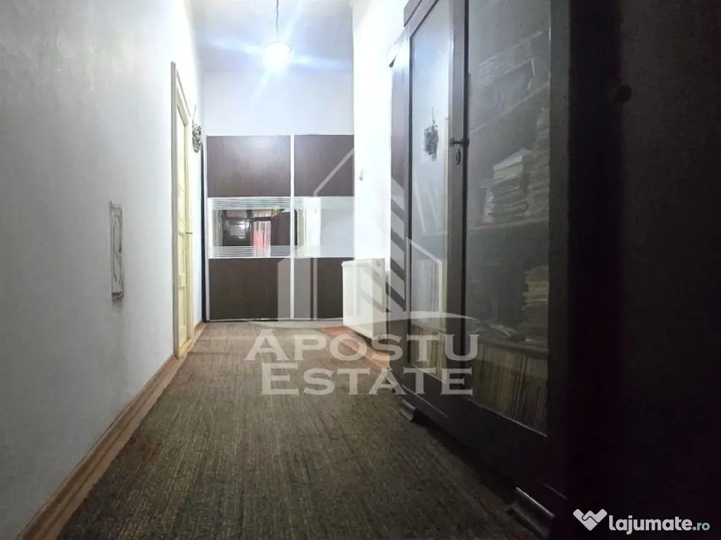 Proprietate cu potential turistic in Gurahont 