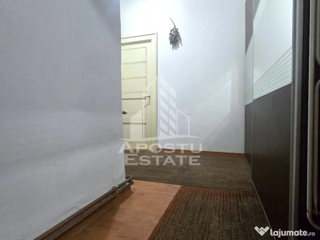 Proprietate cu potential turistic in Gurahont 