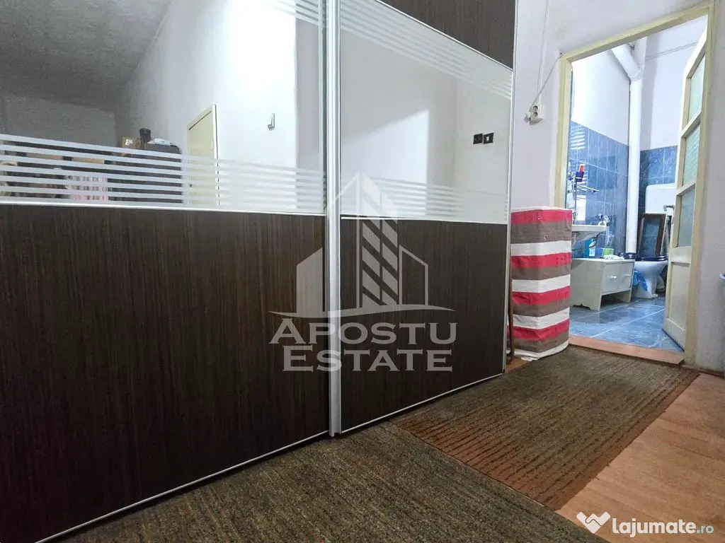 Proprietate cu potential turistic in Gurahont 