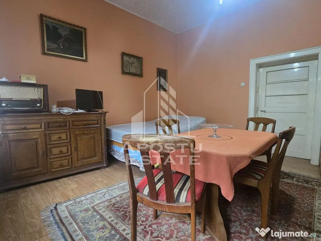 Proprietate cu potential turistic in Gurahont 