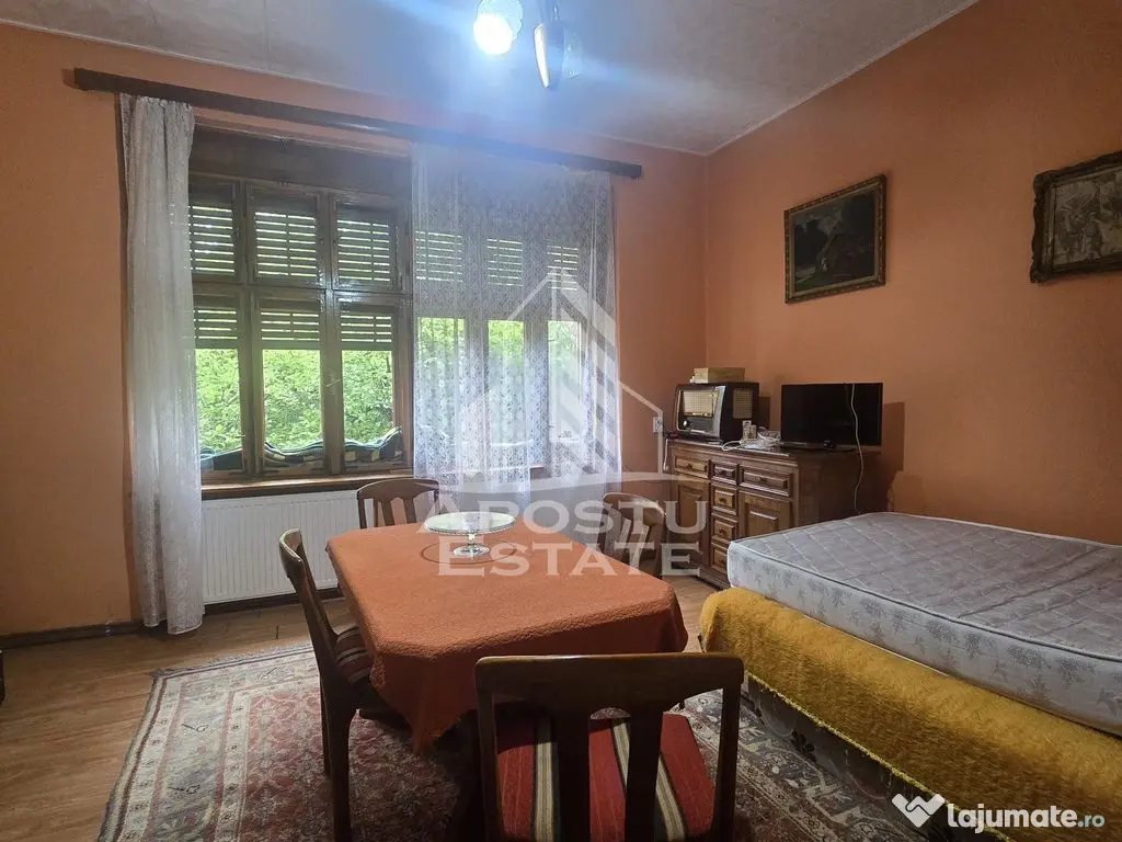 Proprietate cu potential turistic in Gurahont 