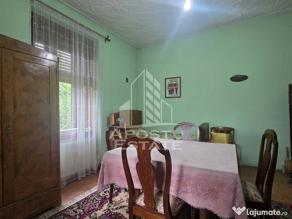 Proprietate cu potential turistic in Gurahont 