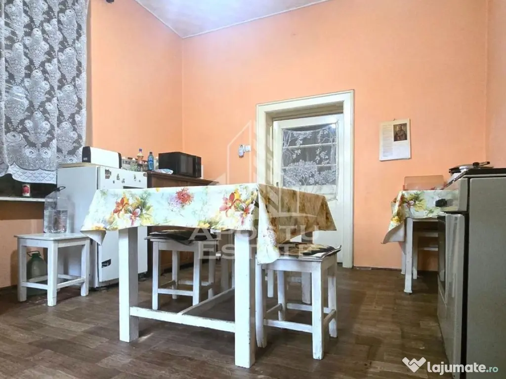 Proprietate cu potential turistic in Gurahont 