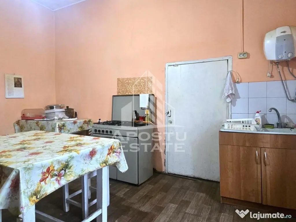 Proprietate cu potential turistic in Gurahont 