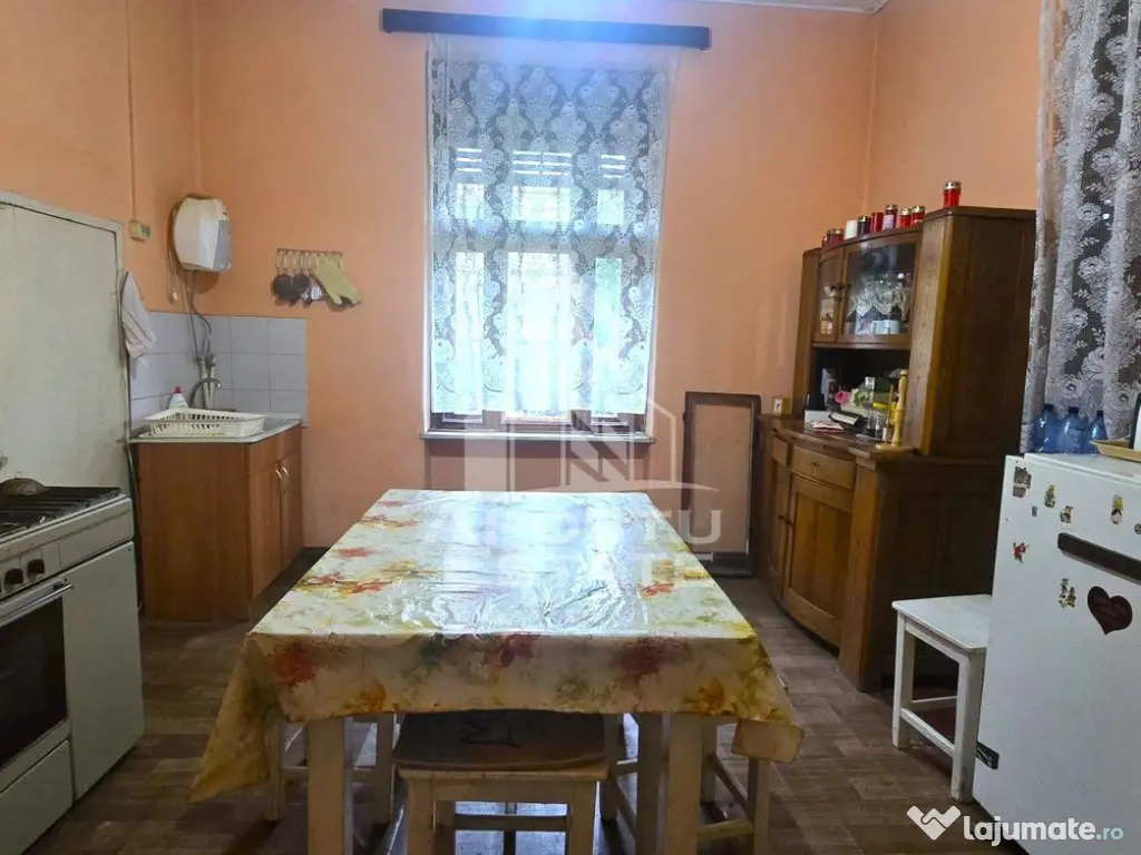 Proprietate cu potential turistic in Gurahont 