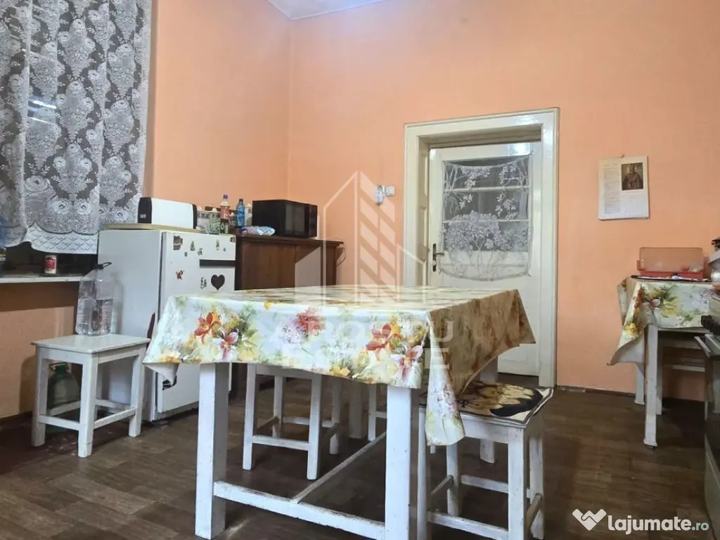 Proprietate cu potential turistic in Gurahont 