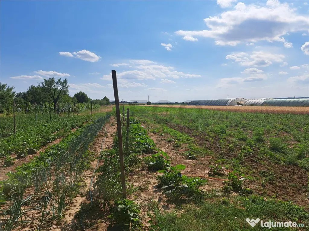 RECO Casa in Sanlazar