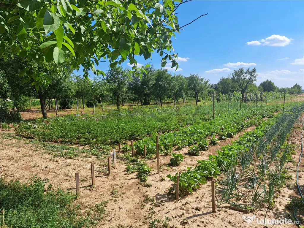 RECO Casa in Sanlazar