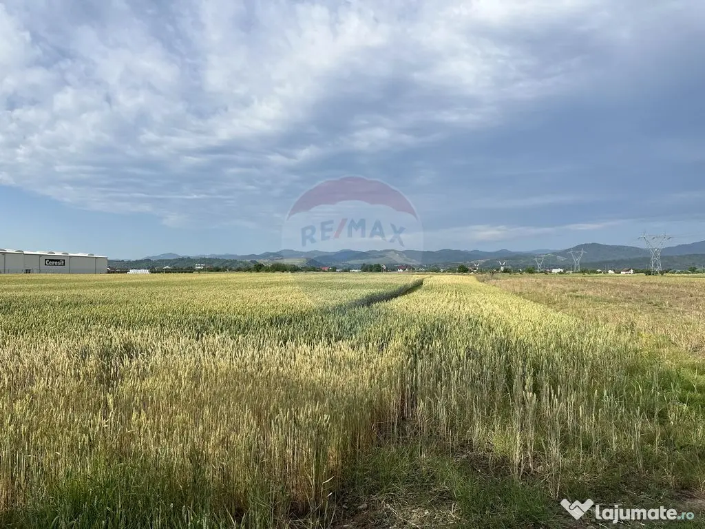 Teren zona industriala Roznov 