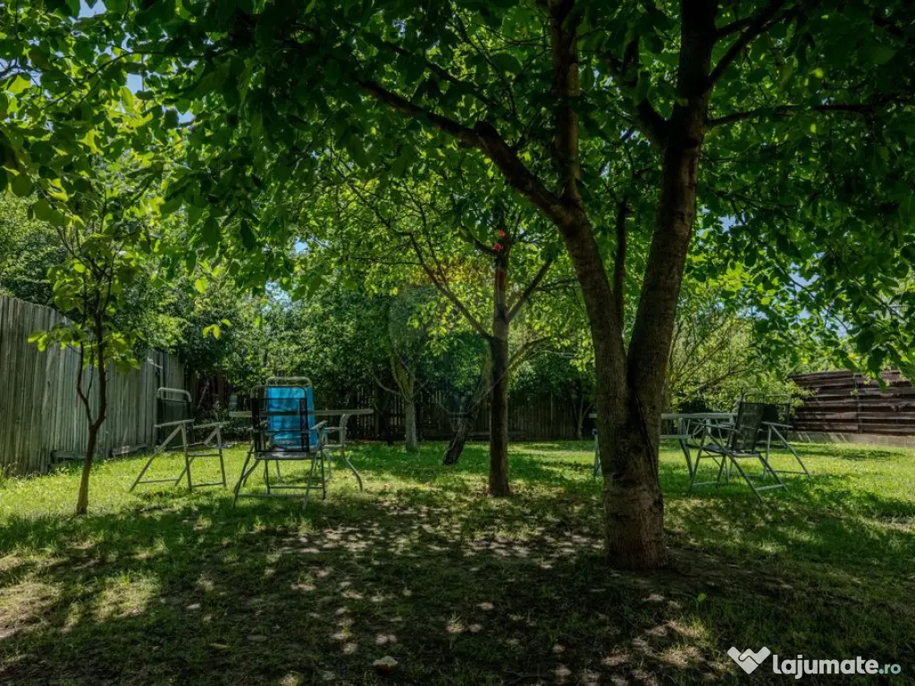 Vila ta în Mogoșoaia – Construită cu grijă, reziste... 