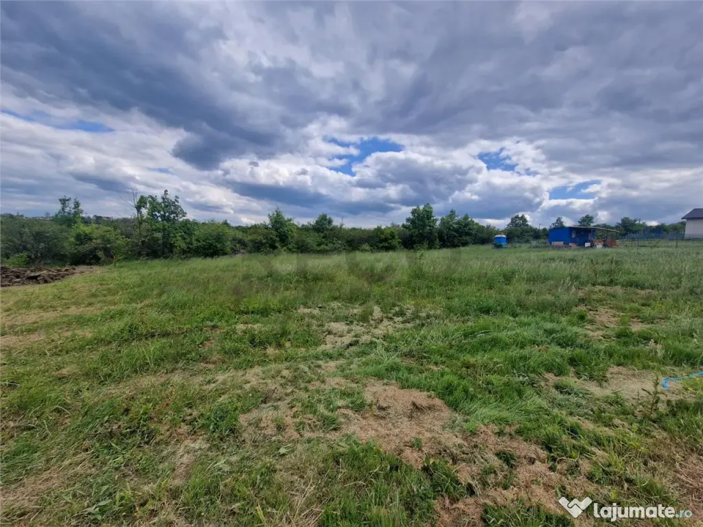 RECO teren intravilan Saldabagiu de Munte 