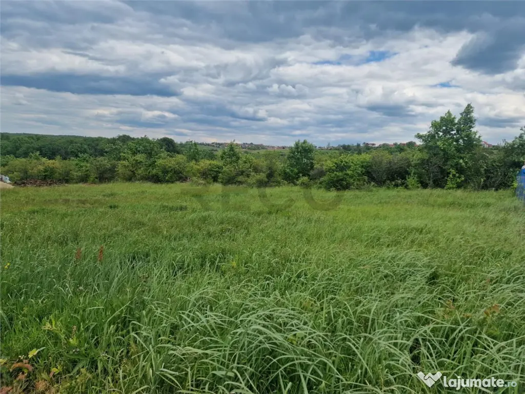 RECO teren intravilan Saldabagiu de Munte 