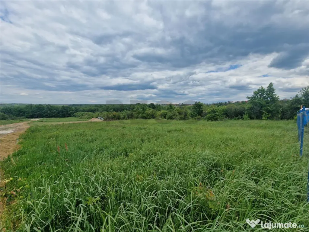 RECO teren intravilan Saldabagiu de Munte 