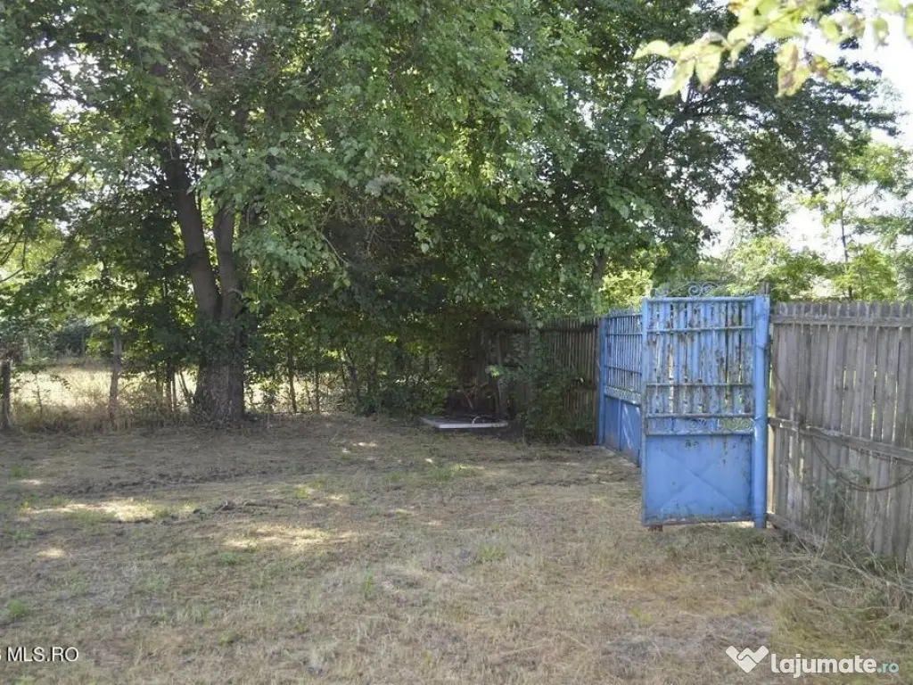 Suseni - Teren intravilan cu casa batraneasca, plan, supr... 