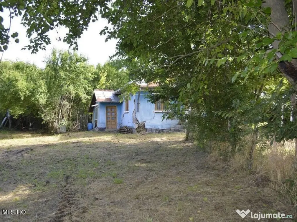 Suseni - Teren intravilan cu casa batraneasca, plan, supr... 