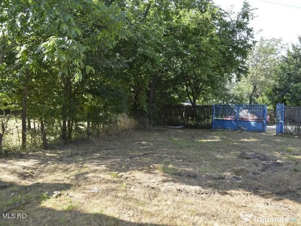 Suseni - Teren intravilan cu casa batraneasca, plan, supr... 