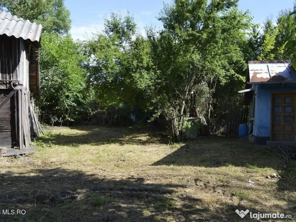 Suseni - Teren intravilan cu casa batraneasca, plan, supr... 