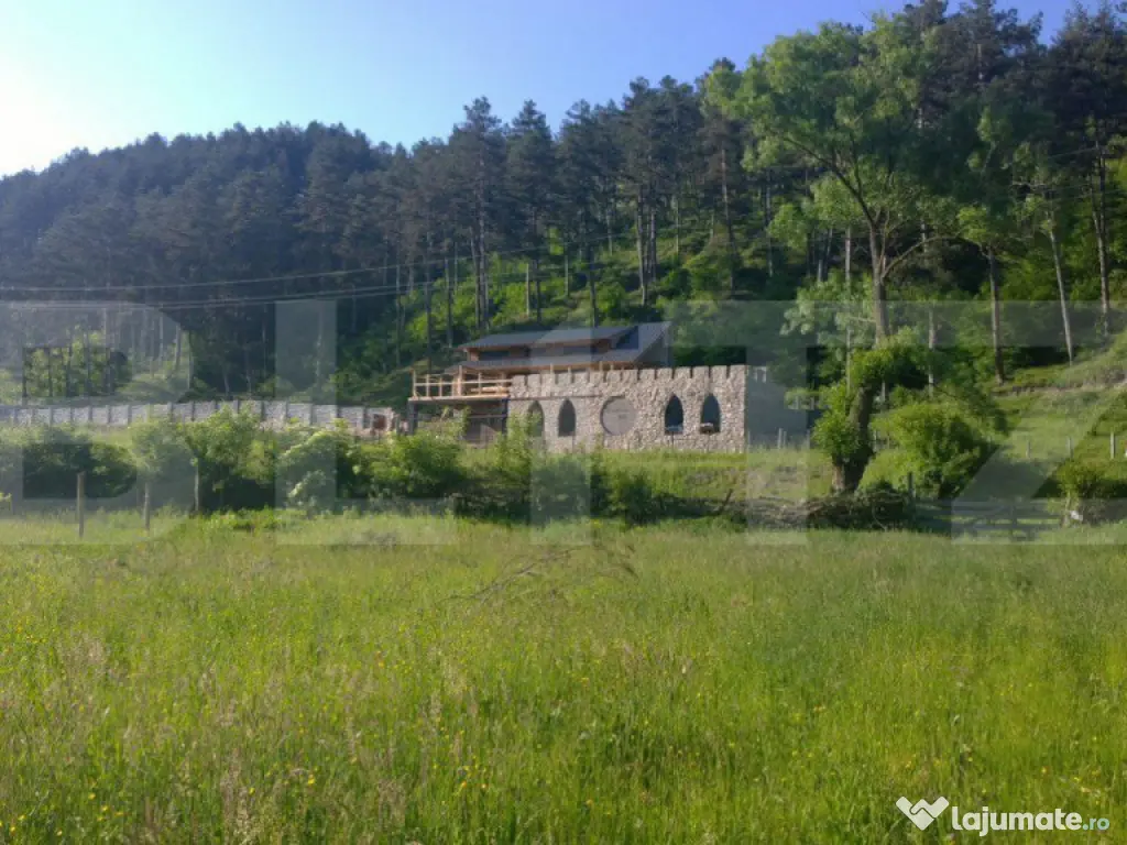 Oportunitate!!! Casa individuala la rosu, 247 mp, Teren 5000