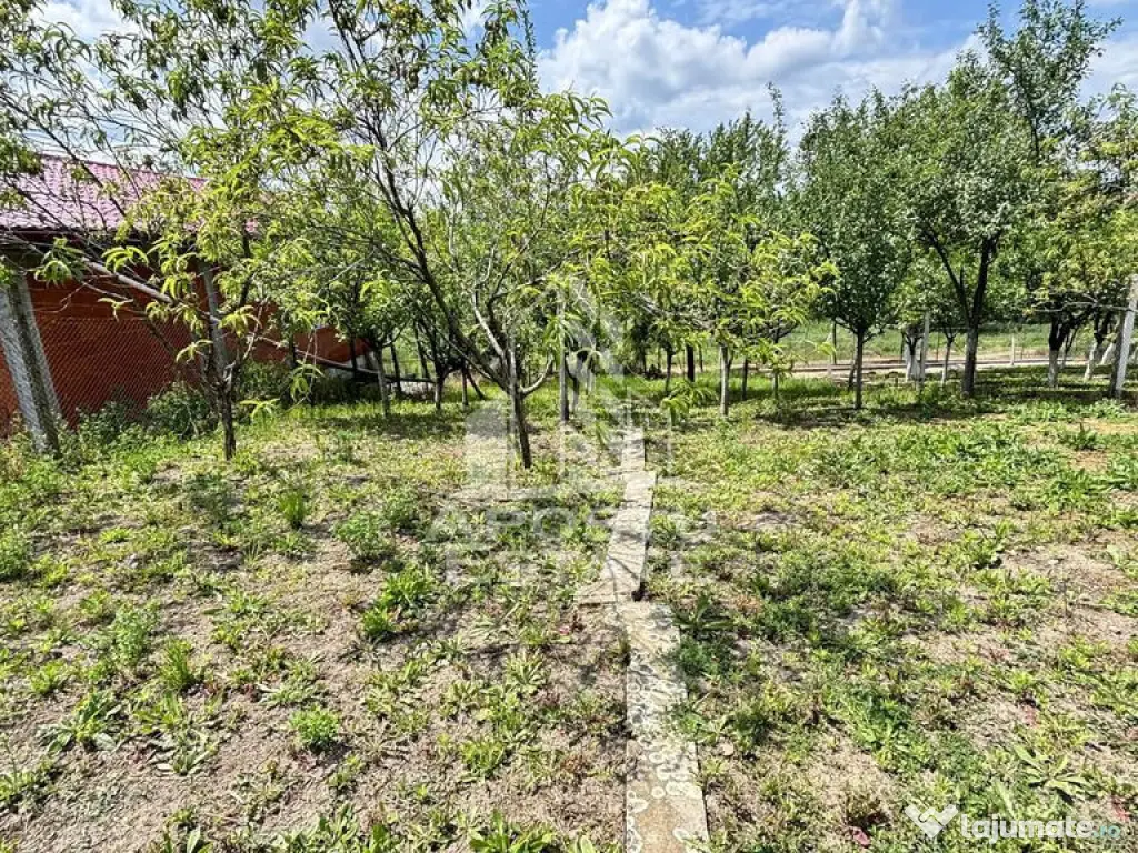 Casa spatioasa, teren 1348 mp, Giarmata 