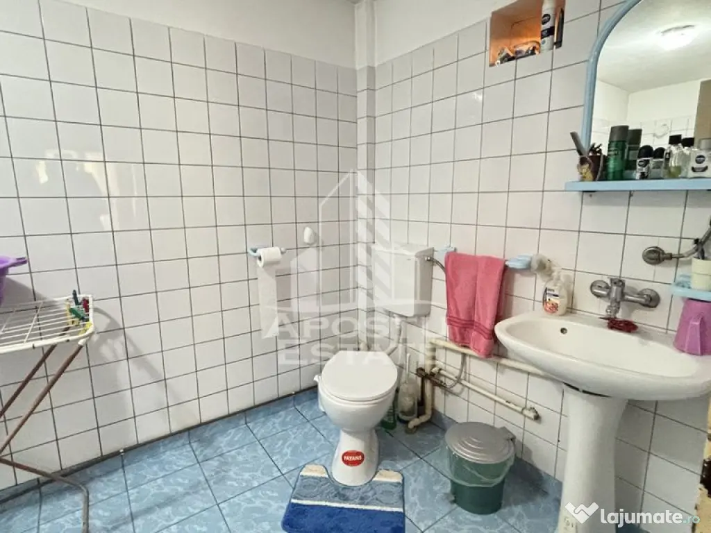 Casa spatioasa, teren 1348 mp, Giarmata 