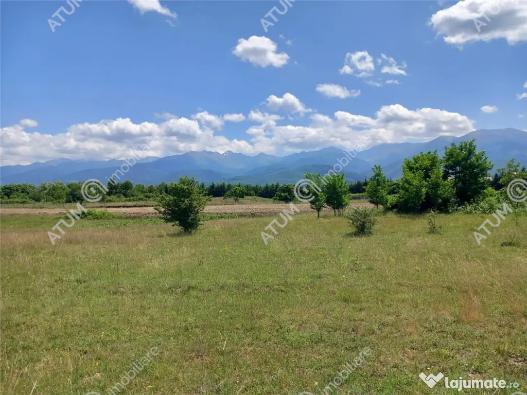 Teren intravilan 5000 mp pe Valea Avrigului, Sibiu 