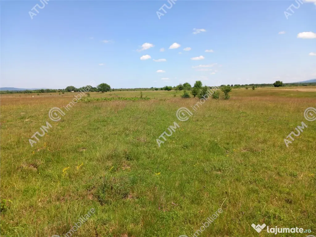 Teren intravilan 5000 mp pe Valea Avrigului, Sibiu 