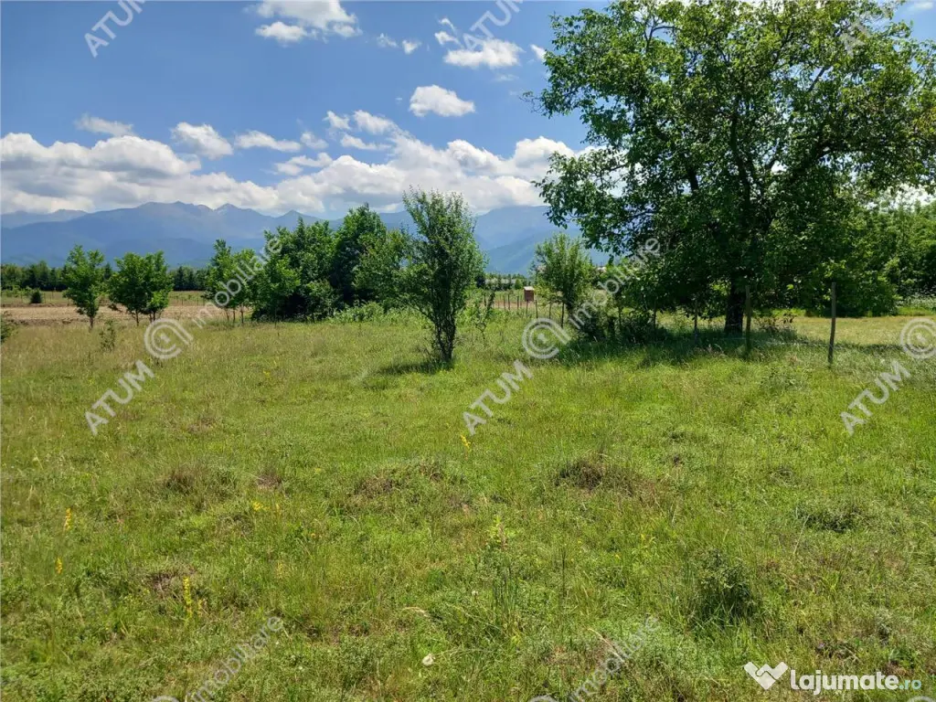 Teren intravilan 5000 mp pe Valea Avrigului, Sibiu 