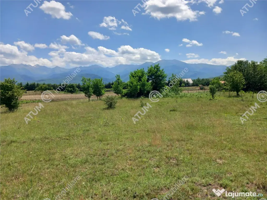 Teren intravilan 5000 mp pe Valea Avrigului, Sibiu 