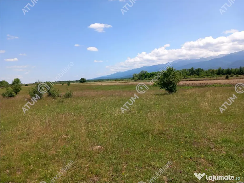 Teren intravilan 5000 mp pe Valea Avrigului, Sibiu 