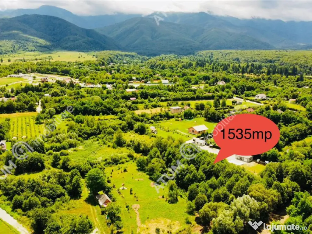 Teren de pe Valea Avrigului Sibiu