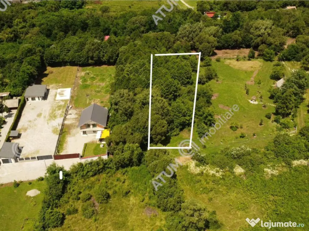 Teren de pe Valea Avrigului Sibiu