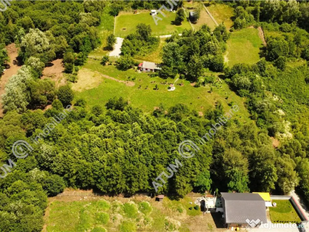 Teren de pe Valea Avrigului Sibiu