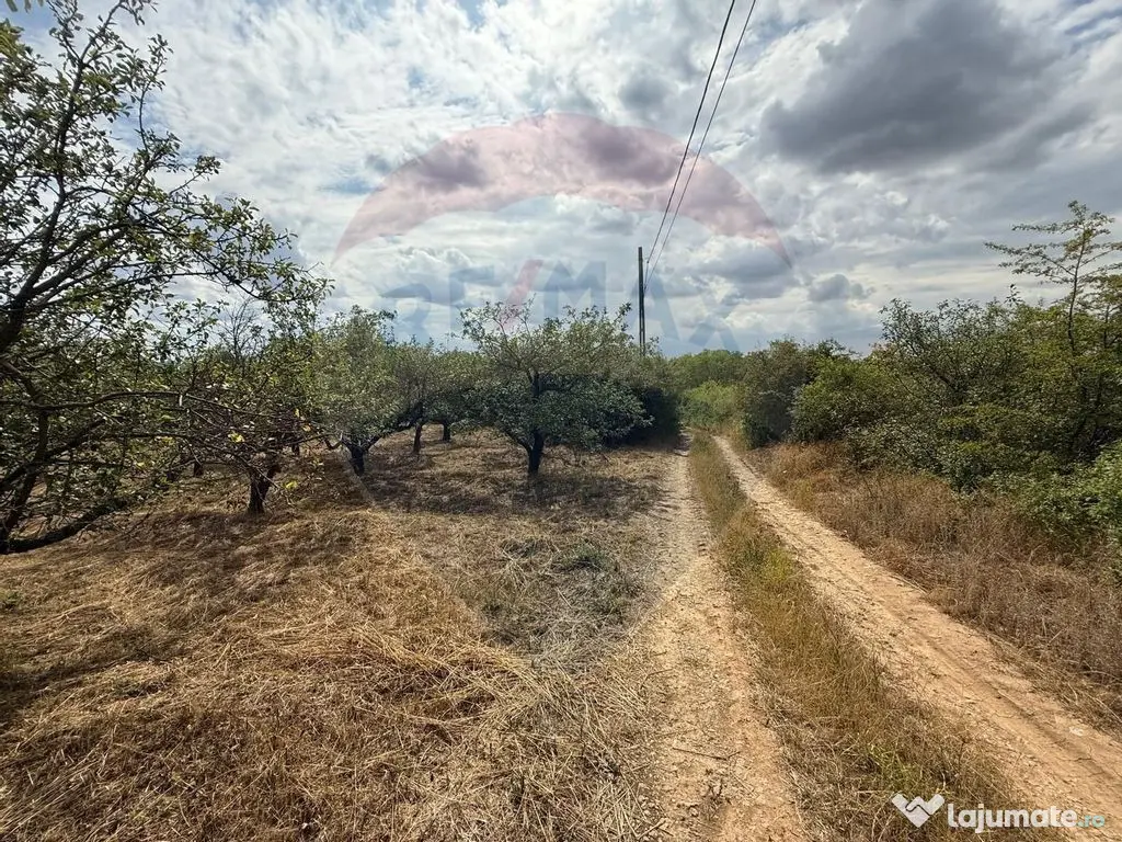 De vânzare Teren 3995mp intravilan Săldabagiu de Munte 