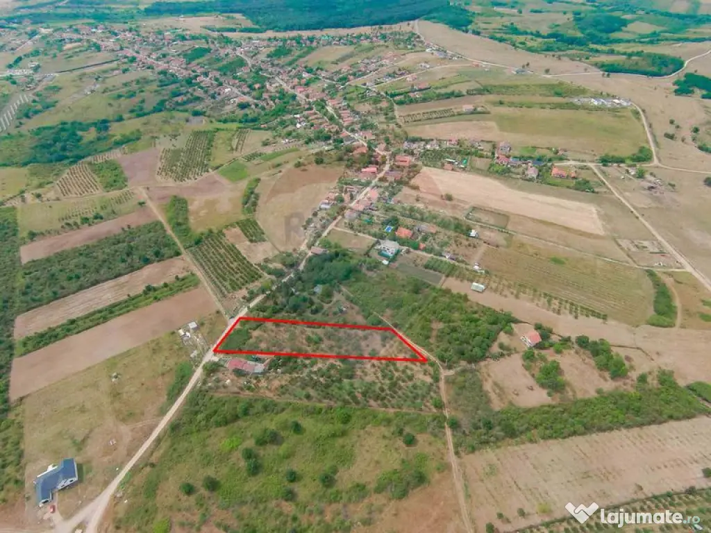 De vânzare Teren 3995mp intravilan Săldabagiu de Munte 