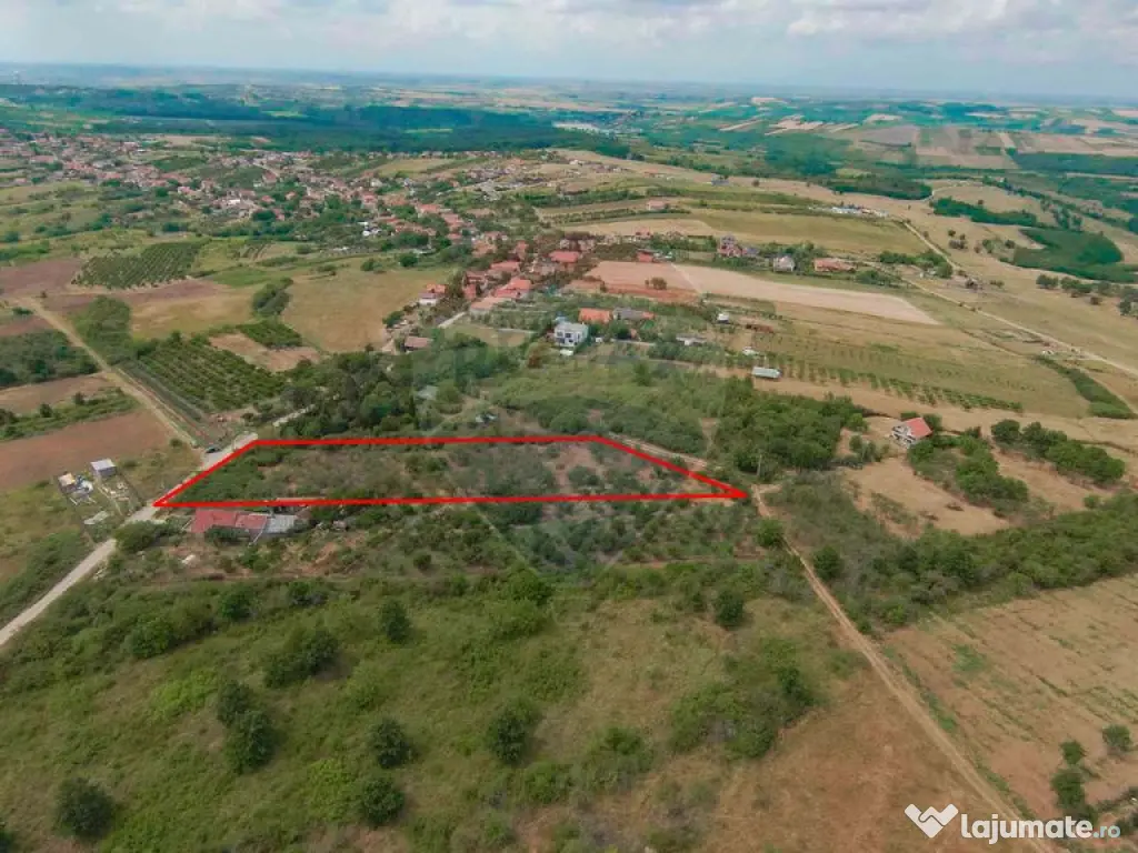 De vânzare Teren 3995mp intravilan Săldabagiu de Munte 