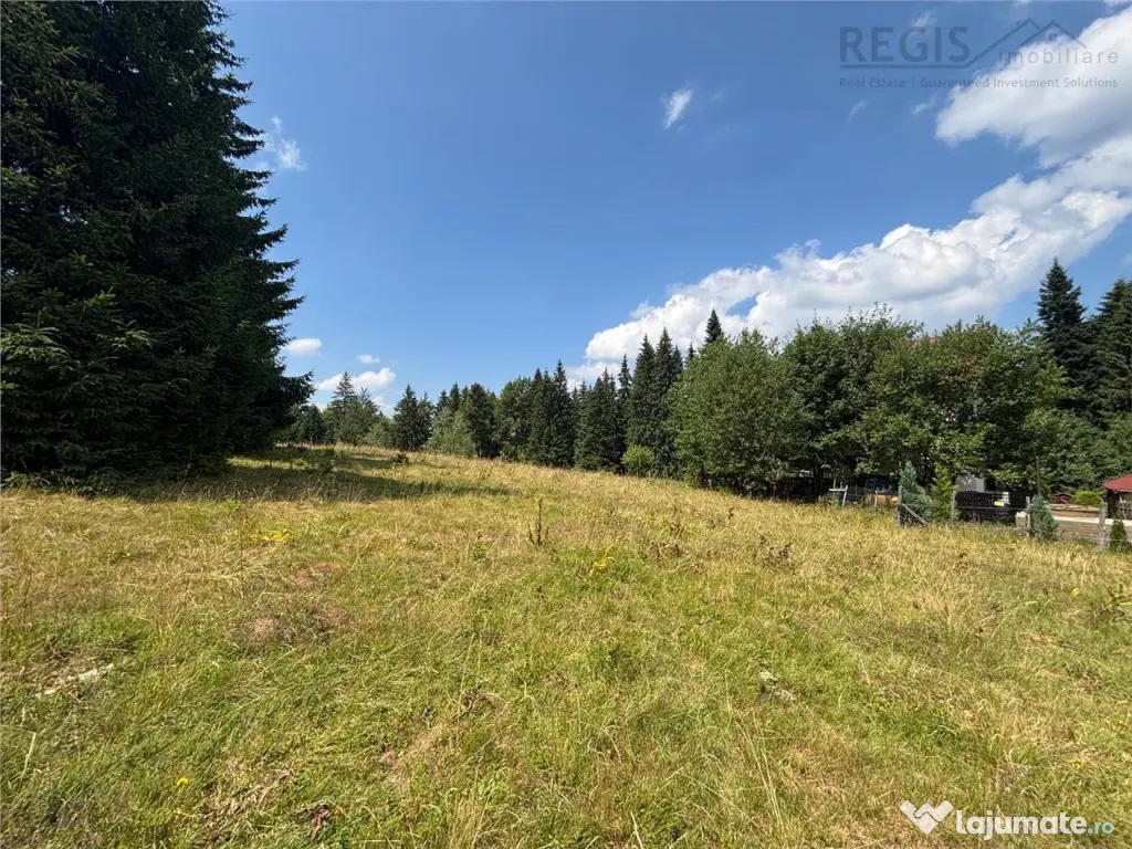 Teren Intravilan 1000MP Utilitati 3 Brazi Predeal