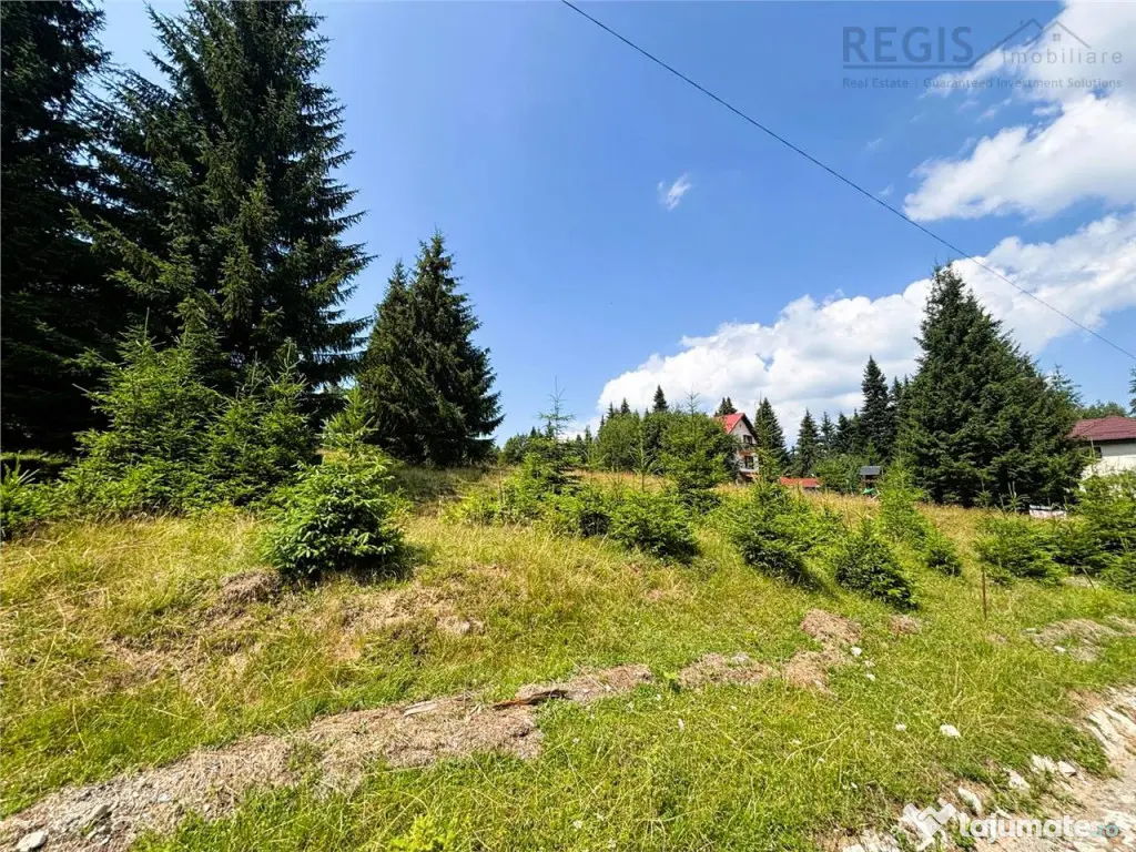 Teren Intravilan 1000MP Utilitati 3 Brazi Predeal