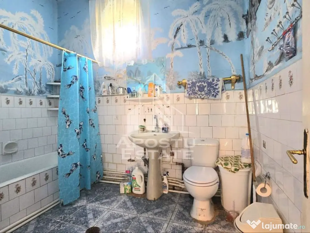 Casa 6 camere, Sandra, Teren 2217 mp