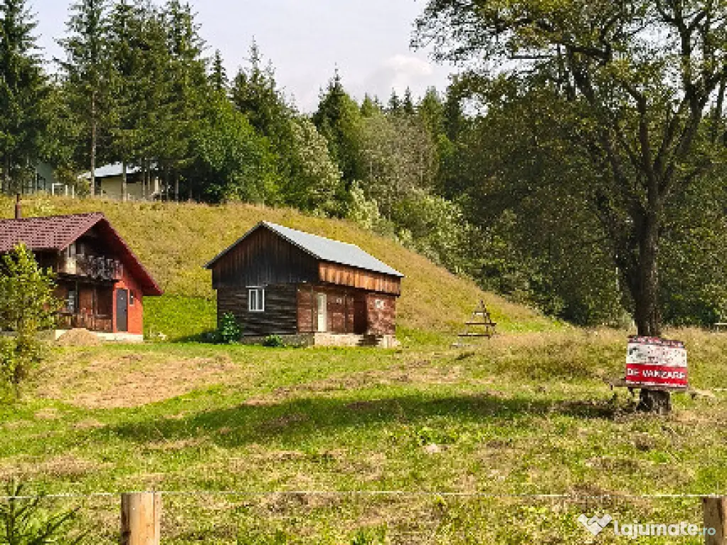 Teren intravilan Valea Doftanei 