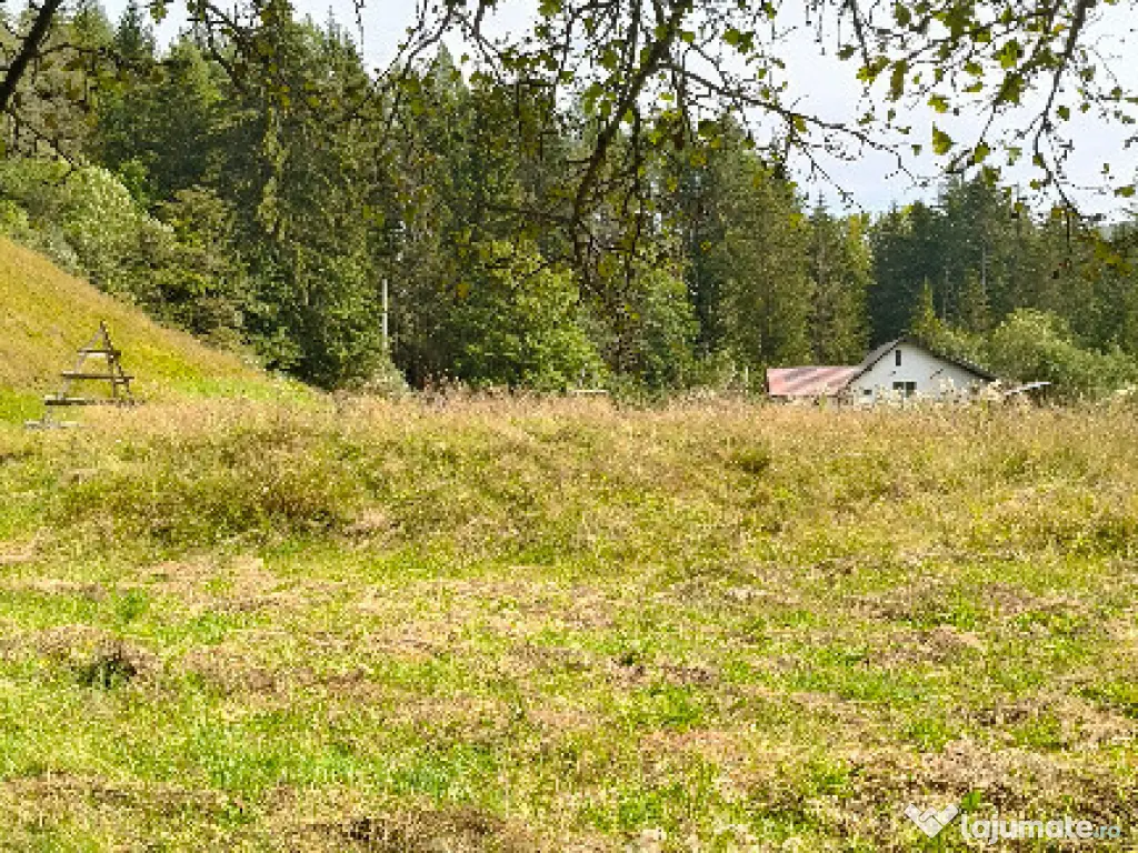 Teren intravilan Valea Doftanei 