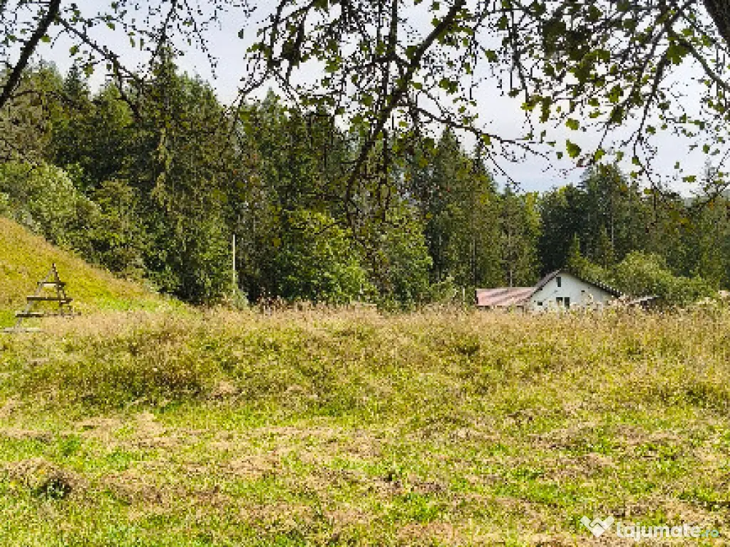 Teren intravilan Valea Doftanei 