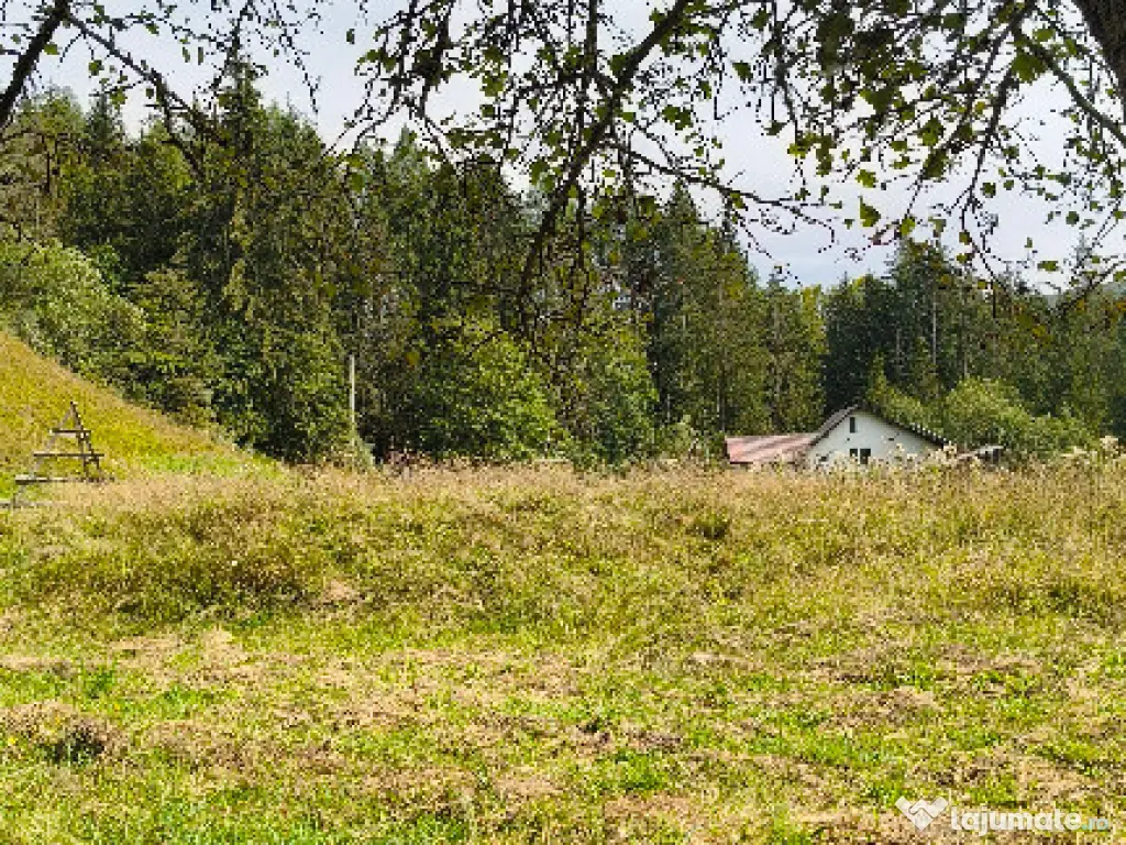 Teren intravilan Valea Doftanei 