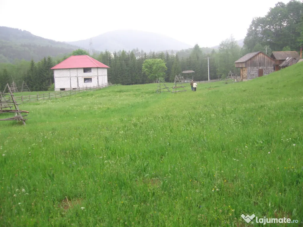 Teren intravilan Valea Doftanei 